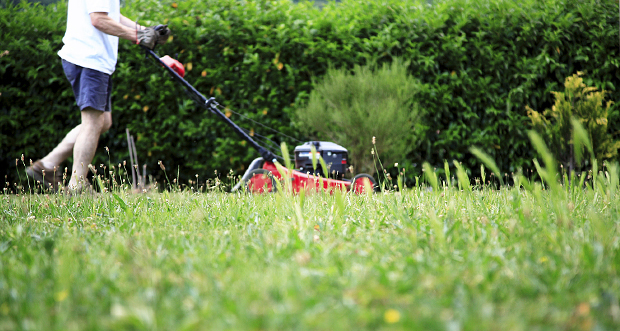 1548492981899193.jpg 22.jpg